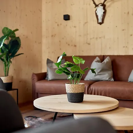 公寓 Alm-lodges Montafon By Pferd Auf Wolke *